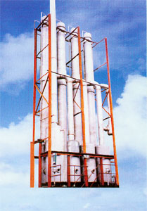 ��Ĥ���l��